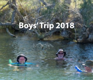 Boys' Trip 2018 book cover
