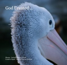 God Created... book cover