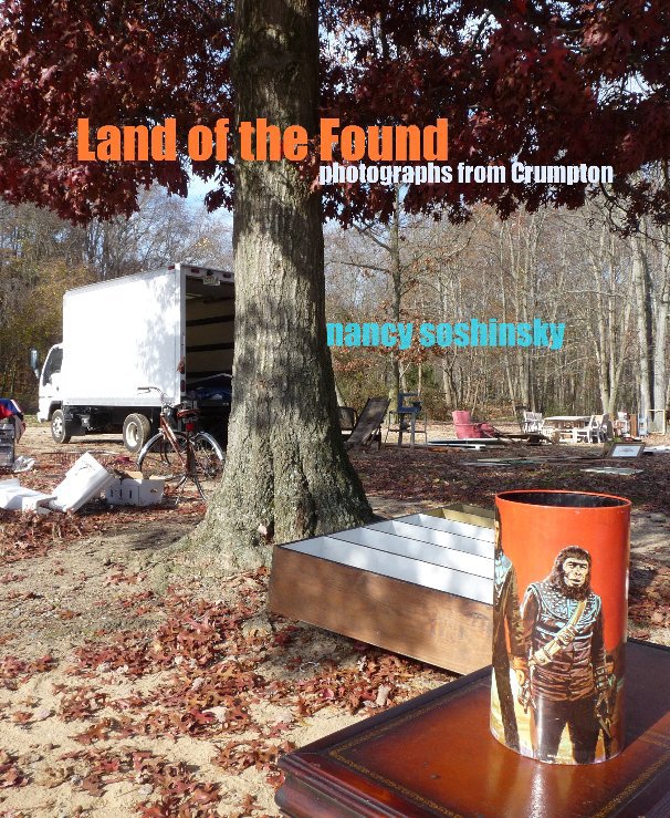 View Land of the Found by Nancy Soshinsky