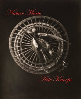Nature Morte Arie Knoops book cover