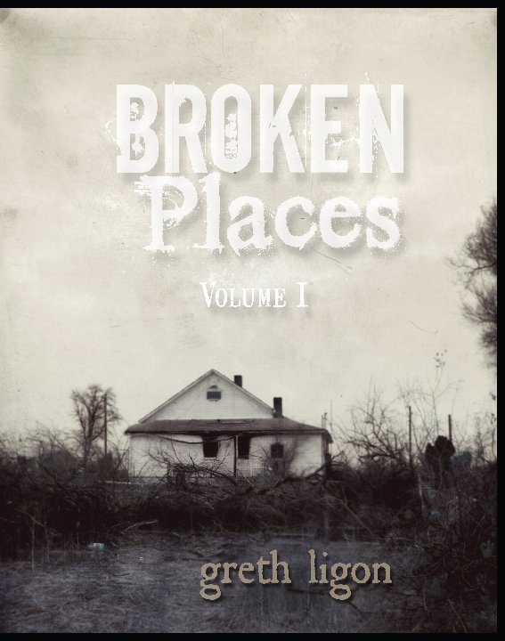 View Broken Places volume I by Greth Ligon