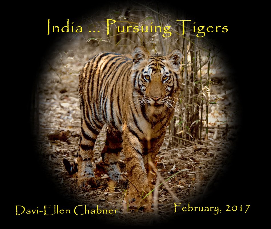 View India ... Pursuing Tigers by Davi-Ellen Chabner