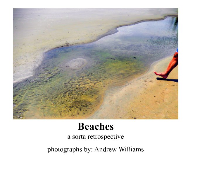 View Beaches by Andrew Williams