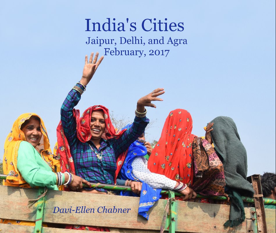 View India's Cities Jaipur, Delhi, and Agra February, 2017 by Davi-Ellen Chabner