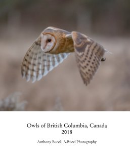 Owls of British Columbia, Canada 2018 book cover