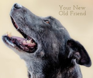 Your New Old Friend book cover