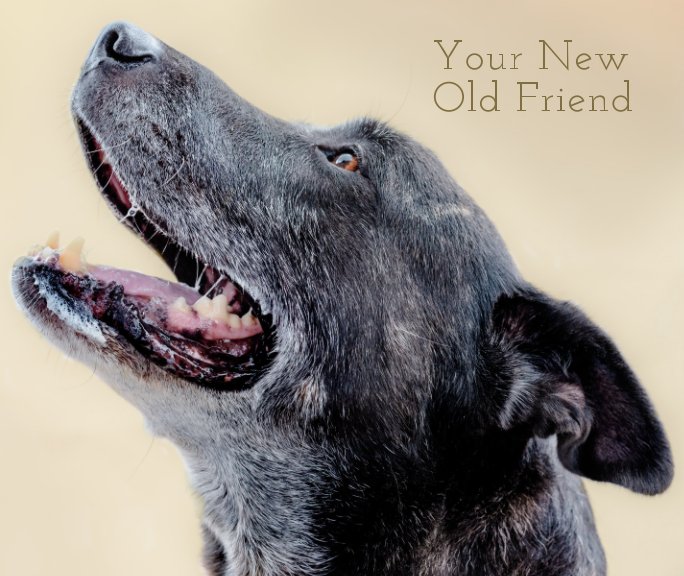 View Your New Old Friend by Gabe O'Neal