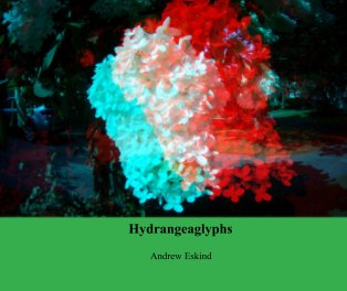 Hydrangeaglyphs book cover