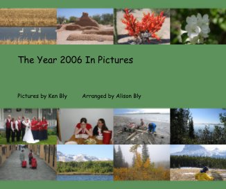 The Year 2006 In Pictures book cover