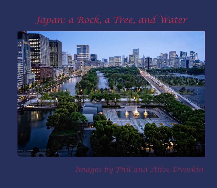 View Japan: A Rock, a Tree, and Water by Phil Dvoskin