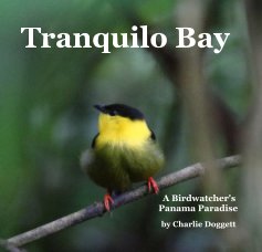 Tranquilo Bay book cover