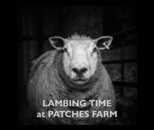 Lambing Time at Patches Farm book cover