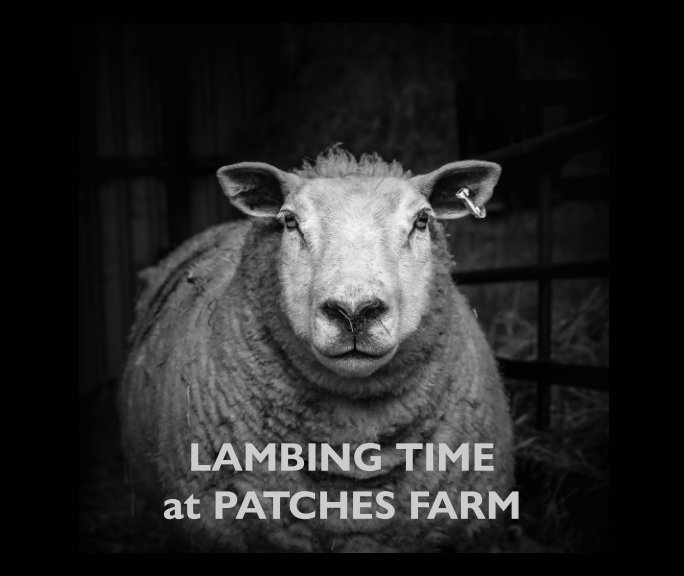 Lambing Time at Patches Farm by Nick Browne | Blurb Books