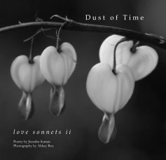 Dust of Time book cover