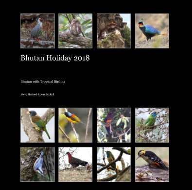 Bhutan Holiday 2018 book cover