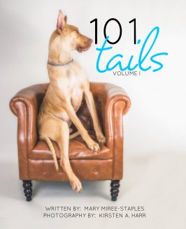 101 Tails:  Volume I book cover