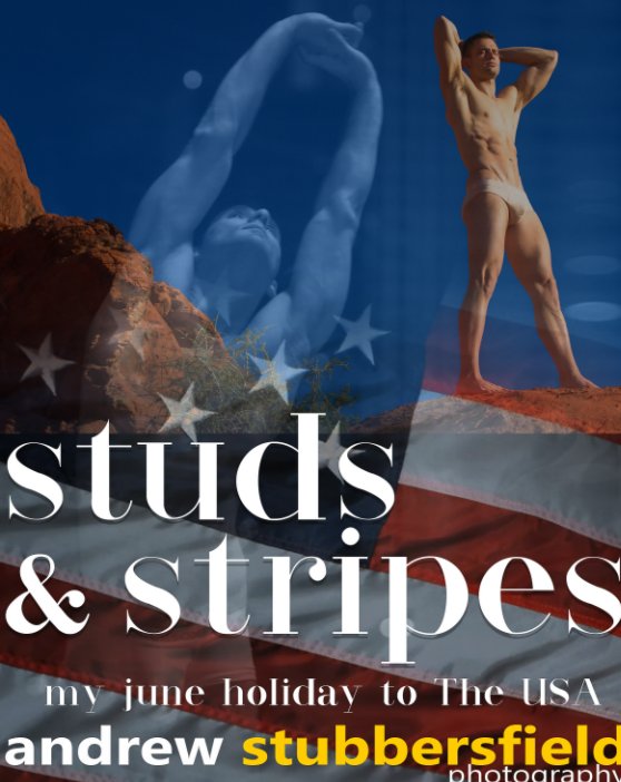 Visualizza Studs and Stripes di Andrew Stubbersfield