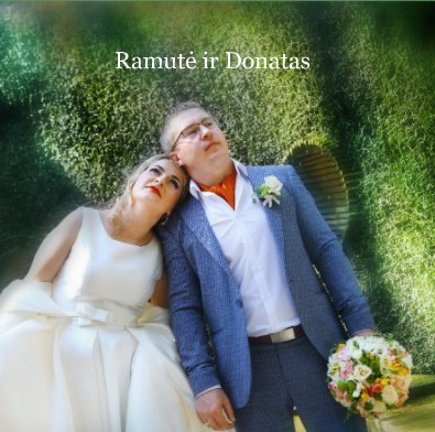 Ramutė ir Donatas book cover