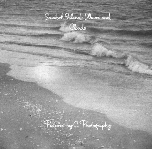 View Sanibel Island by C. Photography
