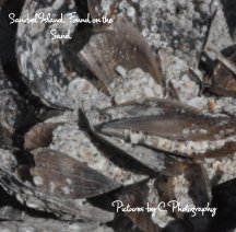Sanibel Island book cover