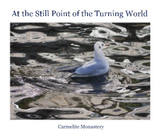 At the Still Point of the Turning World book cover