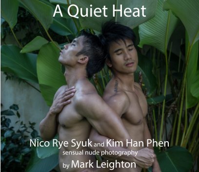 A Quiet Heat book cover