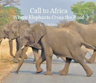 Call to Africa book cover