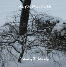 A Long View Winter book cover