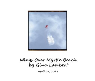 Wings Over Myrtle Beach book cover