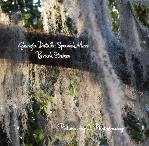 View Spanish Moss Brush Strokes by C. Photography