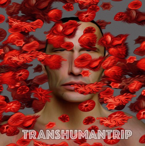 View Transhumantrip by Phil Jarry