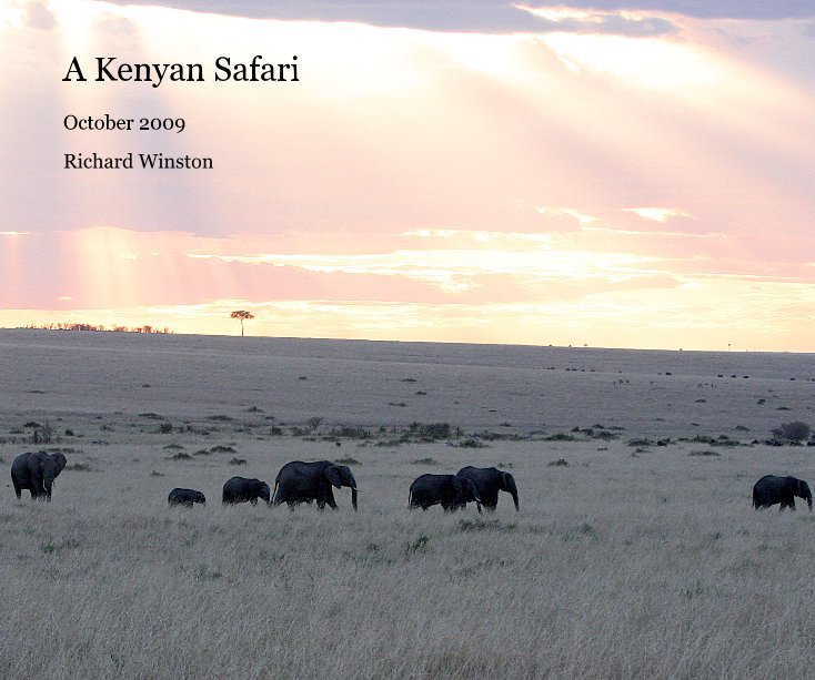 View A Kenyan Safari by Richard Winston