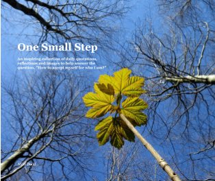 One Small Step book cover