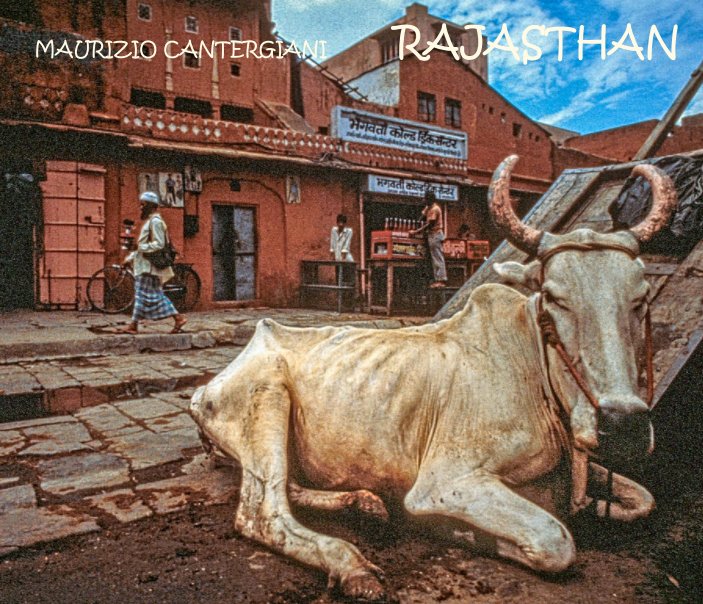 View Rajasthan by MAURIZIO CANTERGIANI