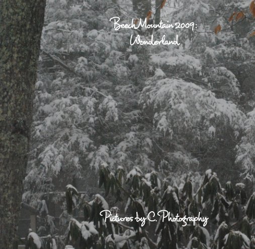 View Beech Mountain 2009 by C. Photography