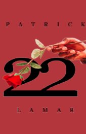 22 book cover