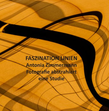 Faszination Linien book cover