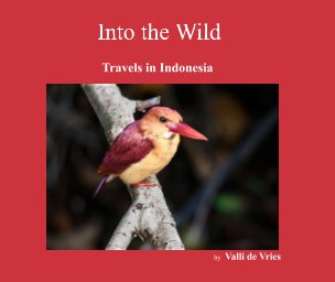 Into the wild - Travels in Indonesia book cover