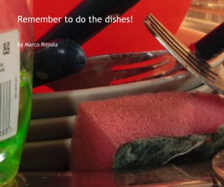 Remember to do the dishes! book cover