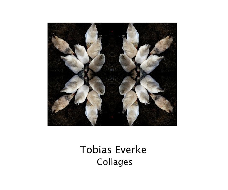 Visualizza Collages di Tobias Everke