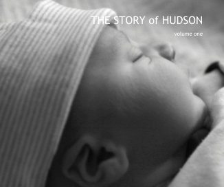 THE STORY of HUDSON book cover