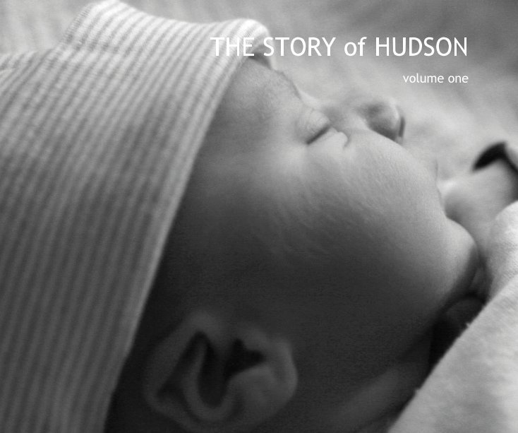 View THE STORY of HUDSON by njwolfie