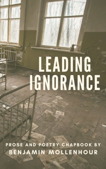 View Leading Ignorance by Benjamin Mollenhour