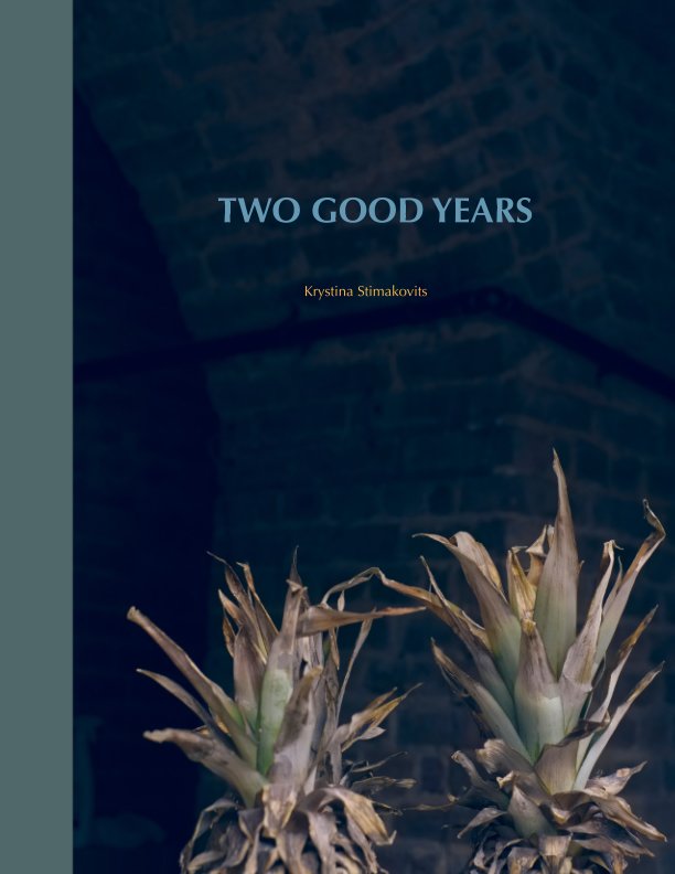 View Two Good Years by Krystina Stimakovits