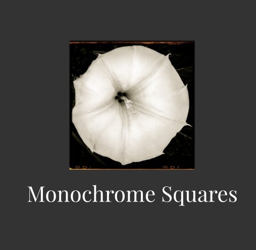 Visualizza Monochrome Squares di SuZan Alexander
