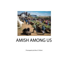 Amish Among Us book cover