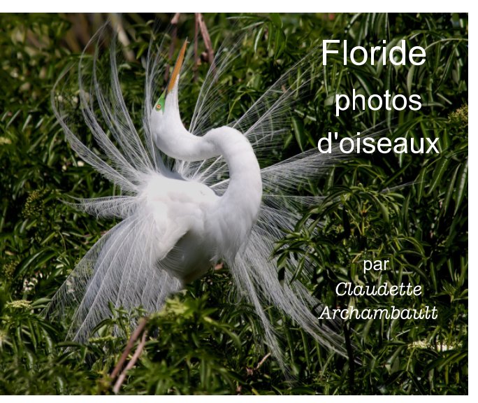 Floride photos d'oiseaux nach Claudette Archambault anzeigen