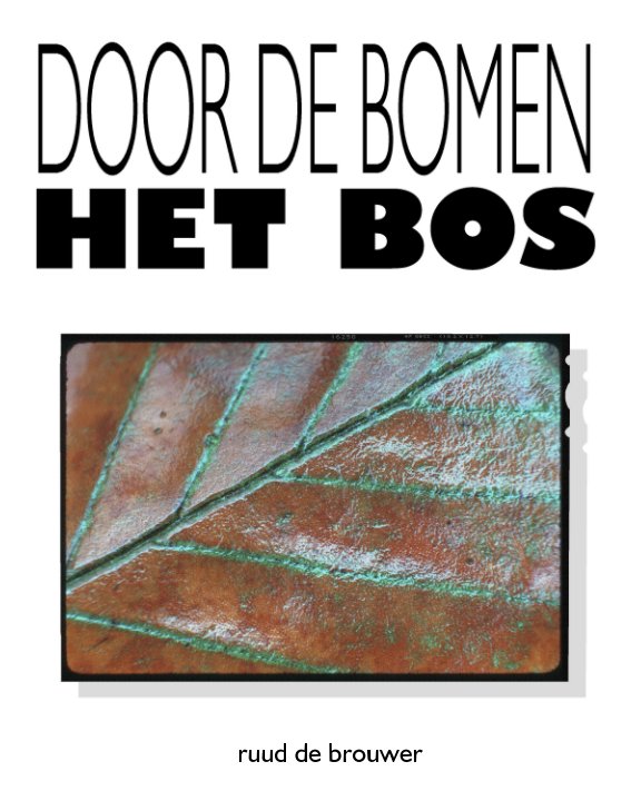 View DOOR DE BOMEN HET BOS by Ruud de Brouwer