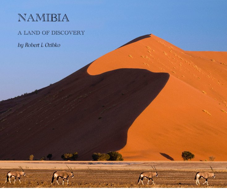 View NAMIBIA by Robert L Ozibko