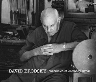 David Brodsky [chronicles of ordinary lives] book cover